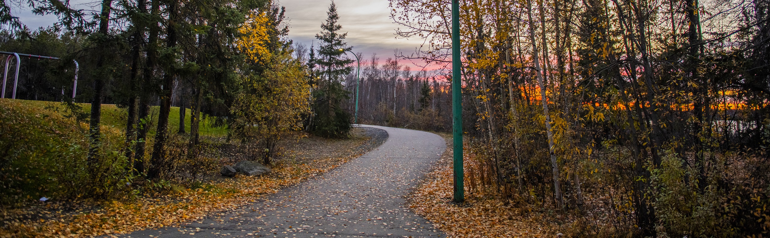 Evening park